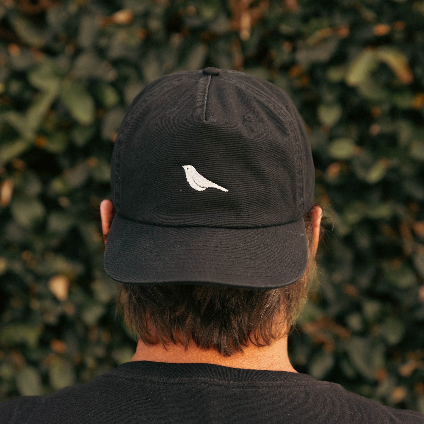 Take Flight Hat